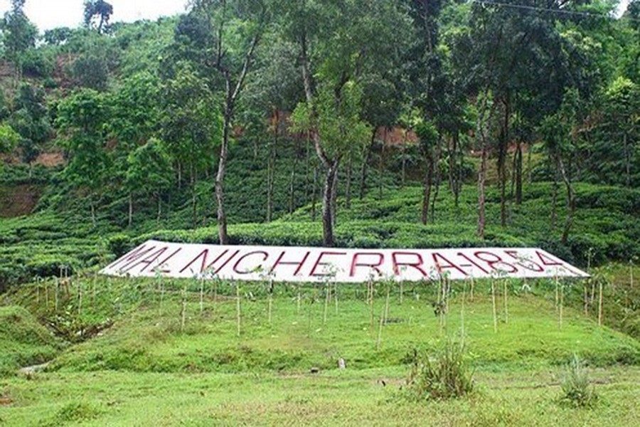 The oldest tea garden in Bangladesh — Malnichhera in Sylhet