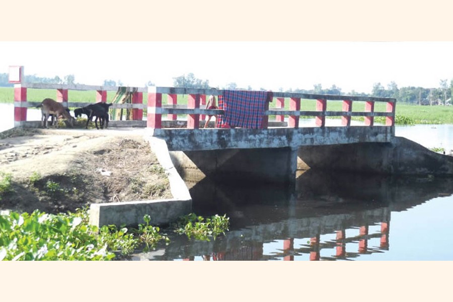 A bridge over the Gozony Beel in the Shagota area of Hatkhali union under Suzanagar upazila in the district lying unused for a long time due to absence of link road for a long time — FE Photo