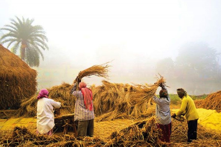 File Photo (Collected)