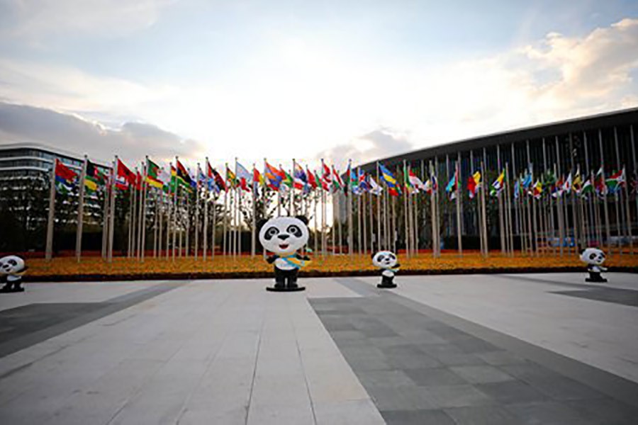 Flags of different countries and regions standing at a square of the CIIE venue National Exhibition and Convention Center(Shanghai). Photo: Global Times