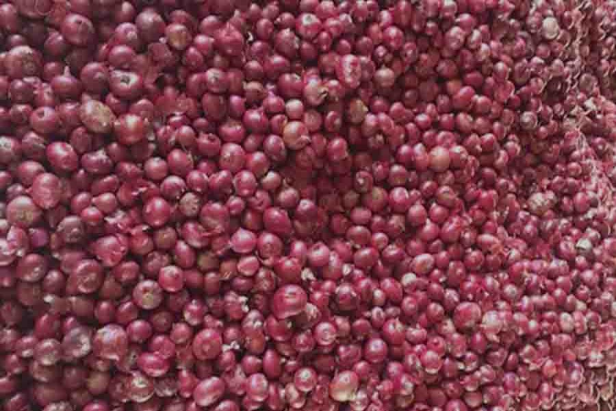 File Photo (Collected)