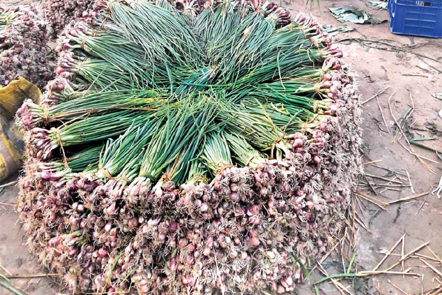 A pile of green onion in Tangail market — FE photo