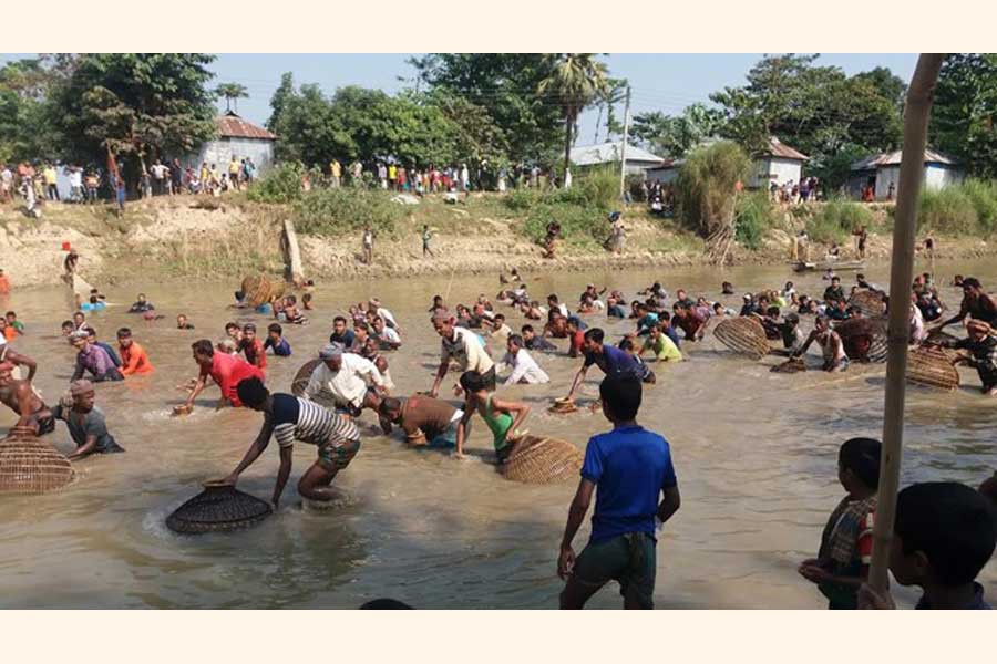People catching fish in the Kontinala river with the help of the traditional fishing trap 'Polo' at an event Polo Bawa under Juri upazila of Moulvibazar on Sunday — FE Photo