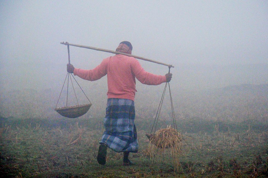 Picture used only for representation — Collected