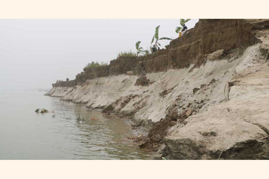Erosion by the Padma river has taken a serious turn in Goalunda upazila of Rajbari district — UNB Photo