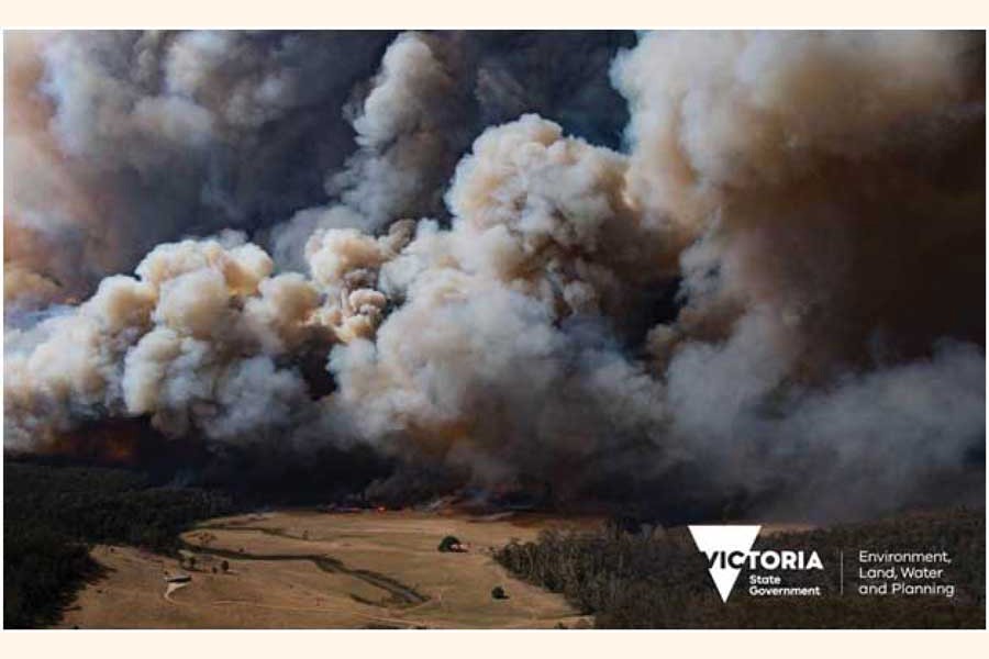 A fire in the East Gippsland region of Victoria, Australia on December 30, 2019. —Photo by Ned Dawson for Victoria State Government.