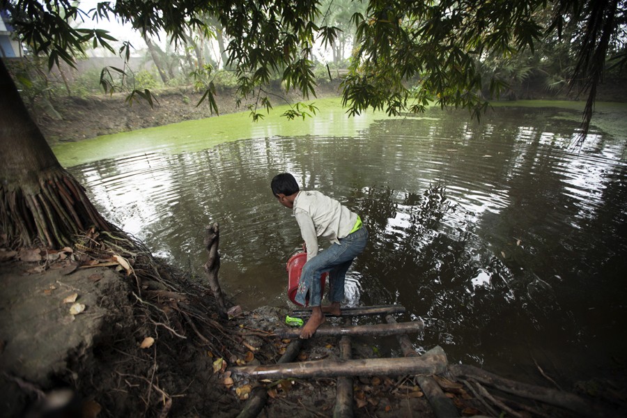 Picture used for representation. Courtesy: WorldFish via Flickr