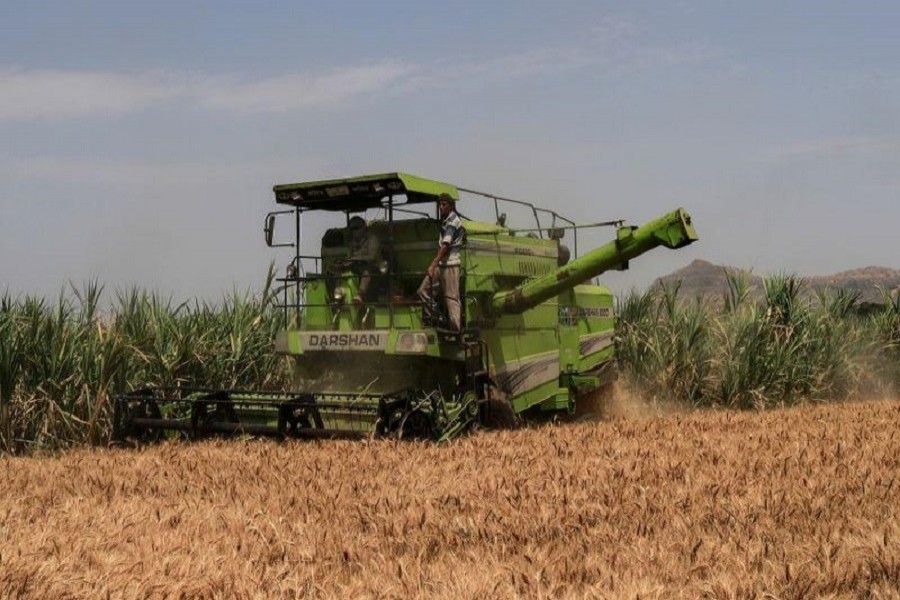 A combine harvester is used at a wheat field in Hivare, India, March 12, 2019. — Reuters/Files