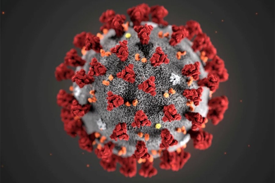 An illustration, created at the Centres for Disease Control and Prevention (CDC), depicts the 2019 Novel Coronavirus. — Reuters/Files