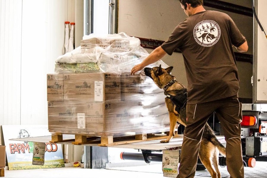 Wildlife detection dog in action. Wildlife detection dogs deployed in airports and border check posts in Bangladesh can play a crucial role in detecting illegal wildlife products — Photo: lpdreamphotography