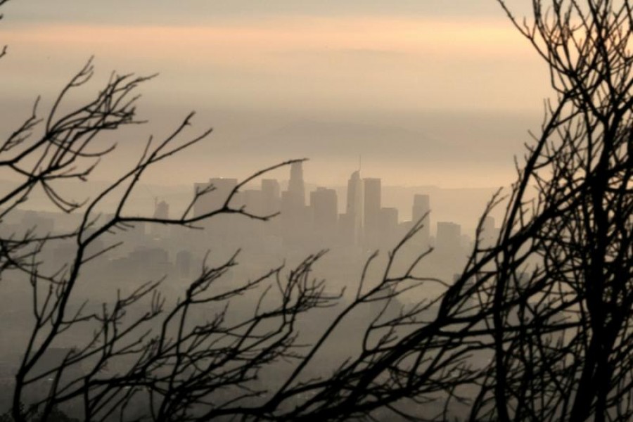Downtown Los Angeles is seen behind a tree burned by wildfire before expected heavy rains, as the coronavirus disease (Covid-19) continues, in Los Angeles, California, US on January 28, 2021 — Reuters/Files