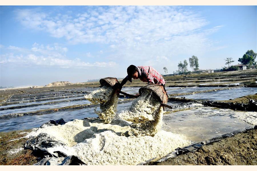 A farmer unloads raw salt at Moheshkhali in Cox's Bazar —Xinhua Photo