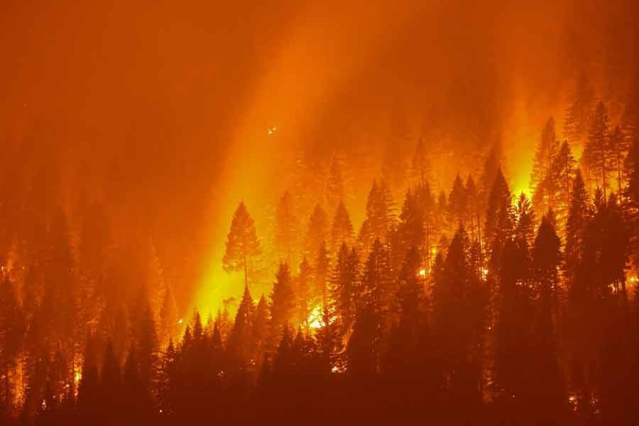 The Dixie Fire ranked as the second-largest California wildfire on record -Reuters file photo
