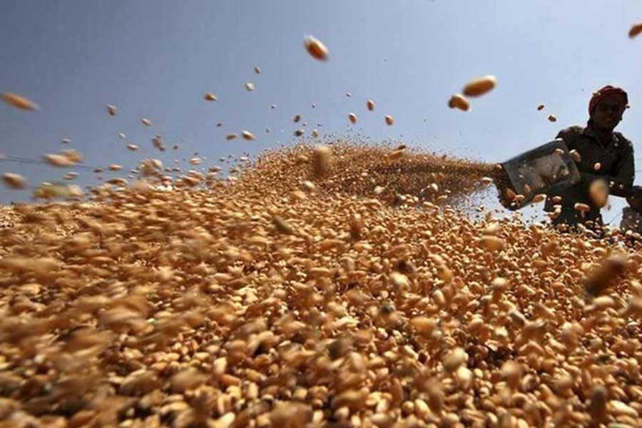 India may allow exports of 1.2m tonnes of wheat soon | The Financial ...