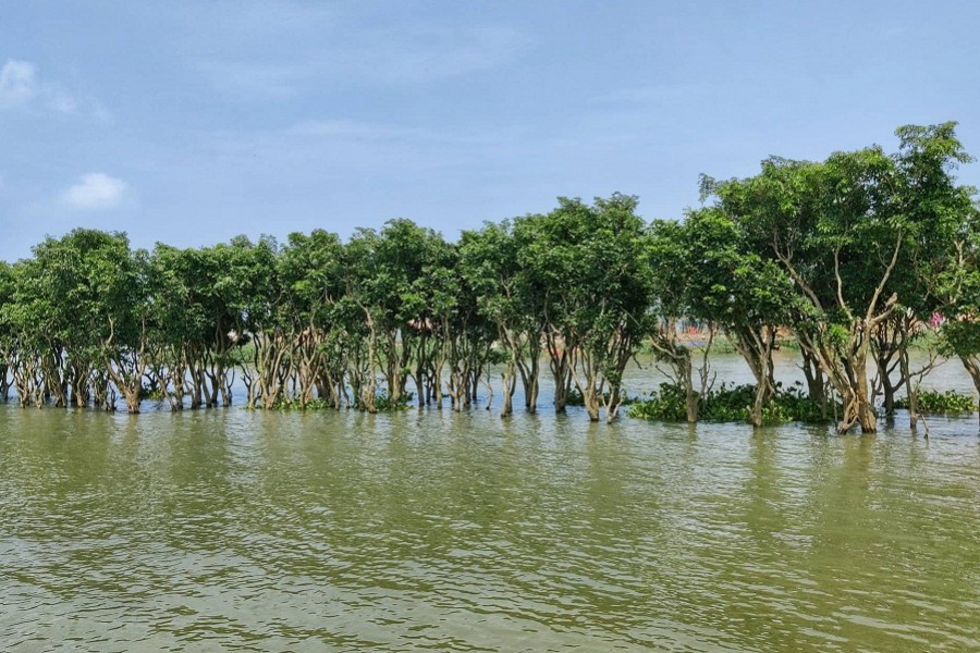 The famous Chatiar Char; else, sarcastically known as ‘gorib er Ratargul.’ Photo: Al Hasib Fahim